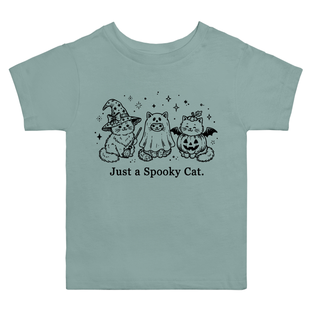 Just A Spooky Cat T-Shirt (toddler)