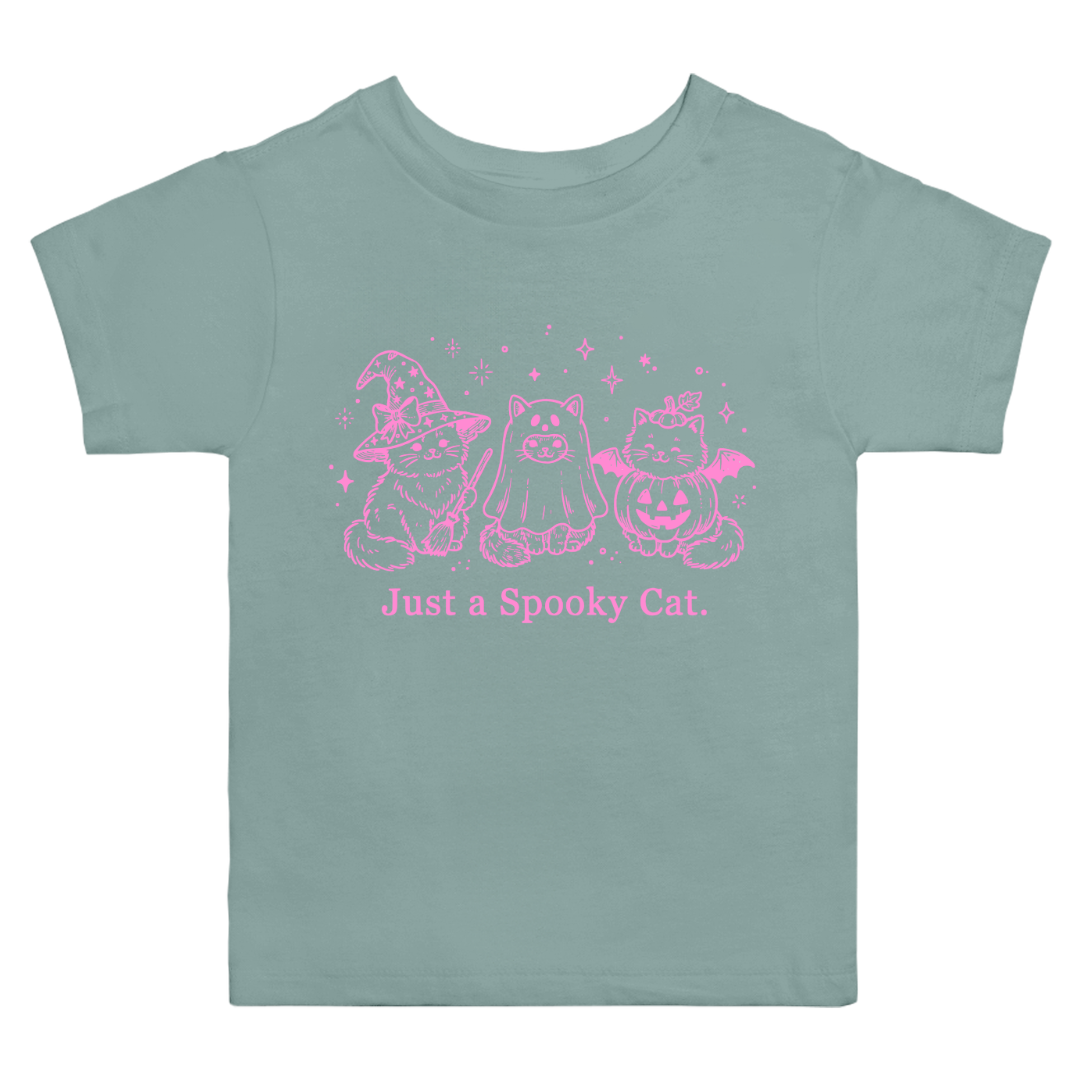 Just A Spooky Cat T-Shirt (toddler)