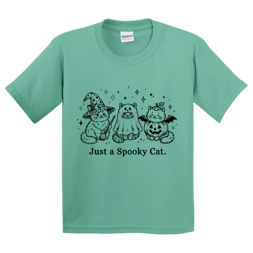 Just A Spooky Cat T-Shirt (youth)