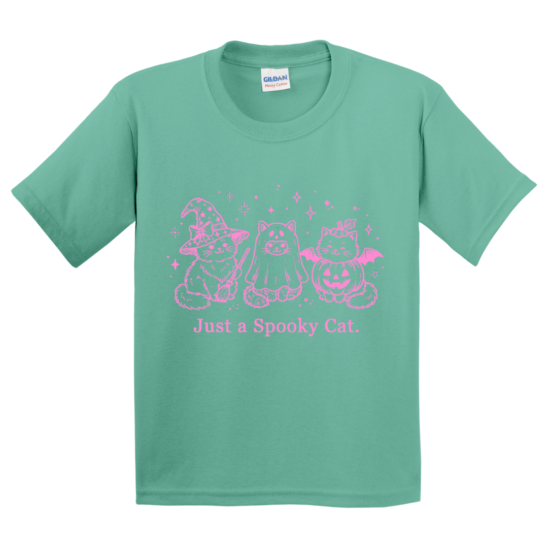 Just A Spooky Cat T-Shirt (youth)