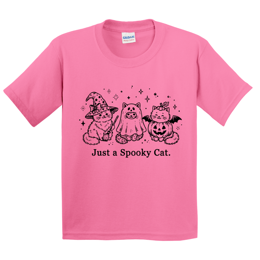 Just A Spooky Cat T-Shirt (youth)