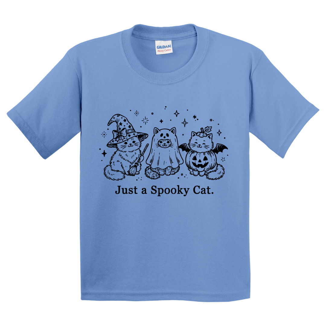Just A Spooky Cat T-Shirt (youth)