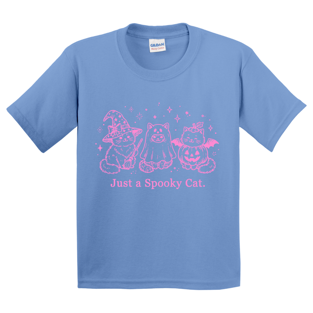 Just A Spooky Cat T-Shirt (youth)