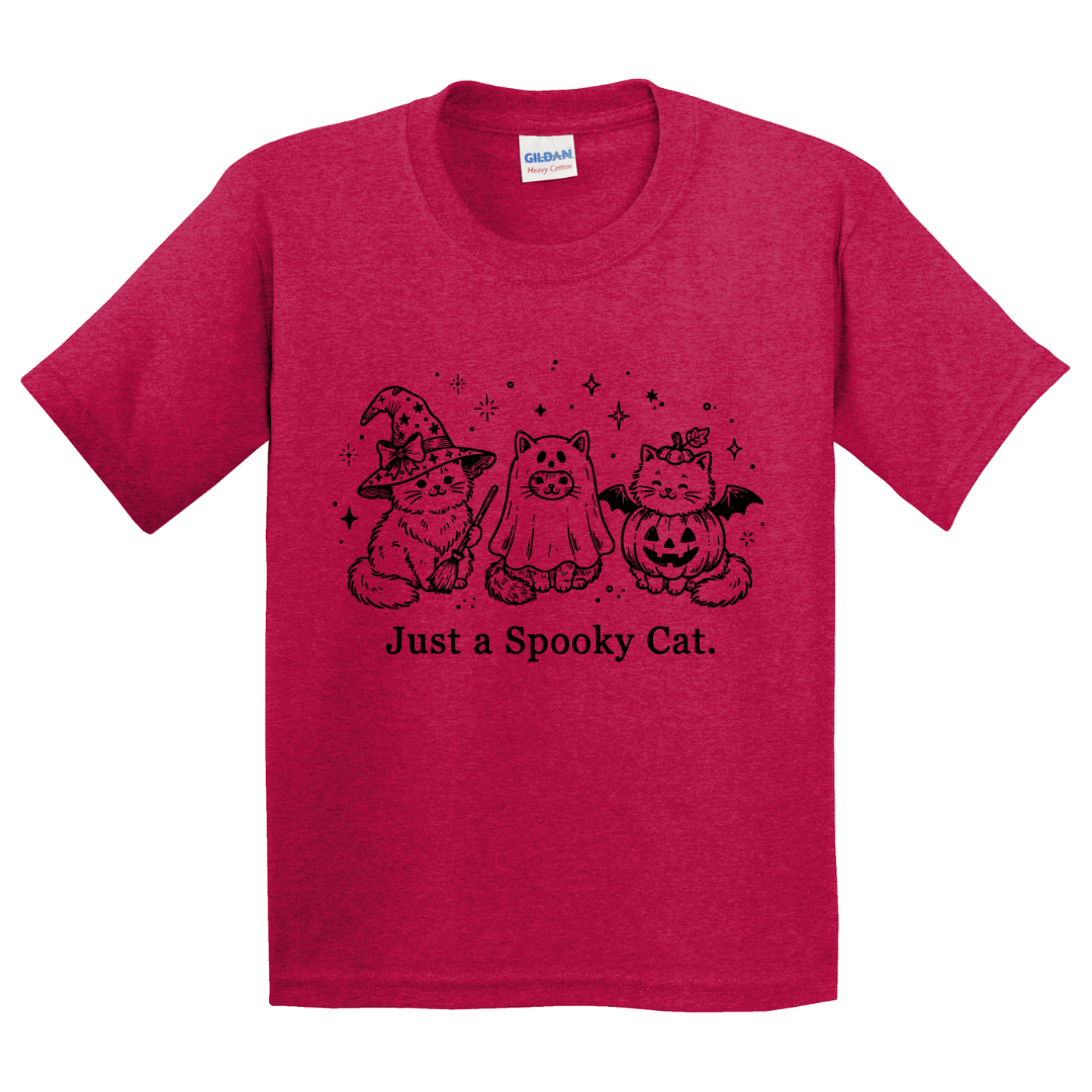 Just A Spooky Cat T-Shirt (youth)