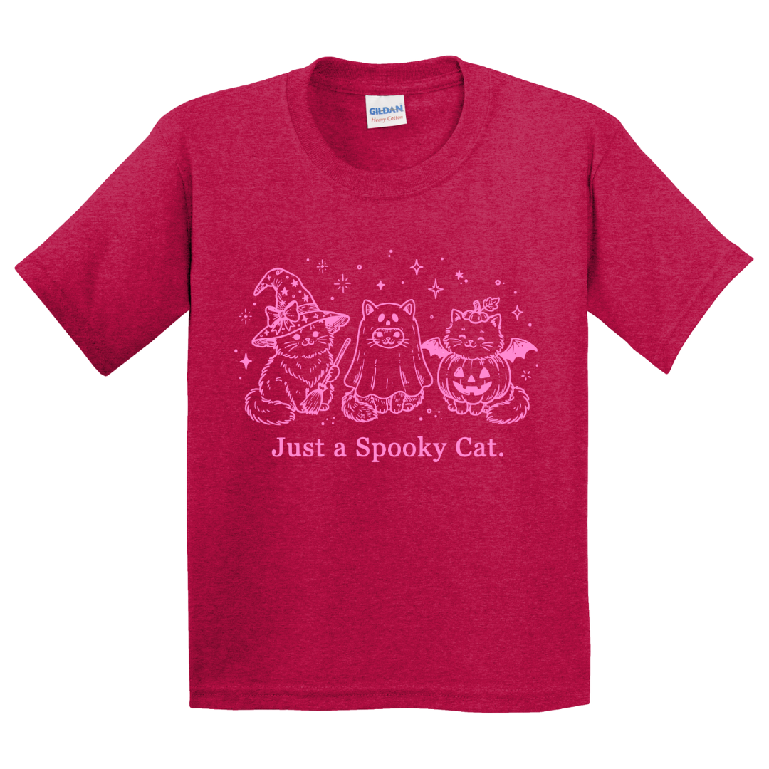 Just A Spooky Cat T-Shirt (youth)