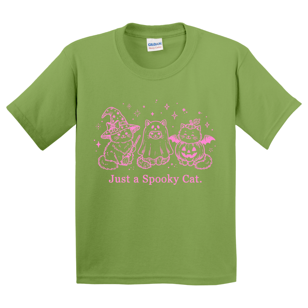 Just A Spooky Cat T-Shirt (youth)