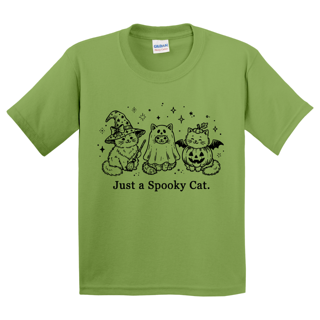 Just A Spooky Cat T-Shirt (youth)