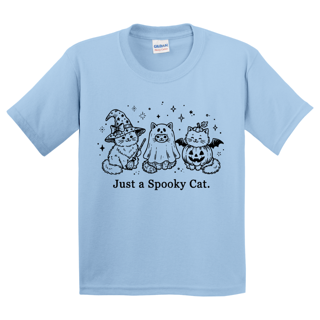 Just A Spooky Cat T-Shirt (youth)