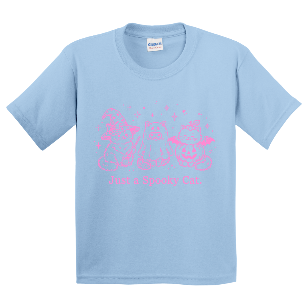 Just A Spooky Cat T-Shirt (youth)