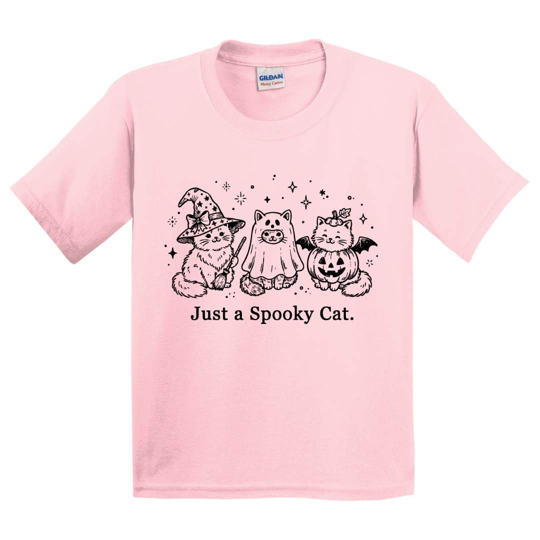 Just A Spooky Cat T-Shirt (youth)