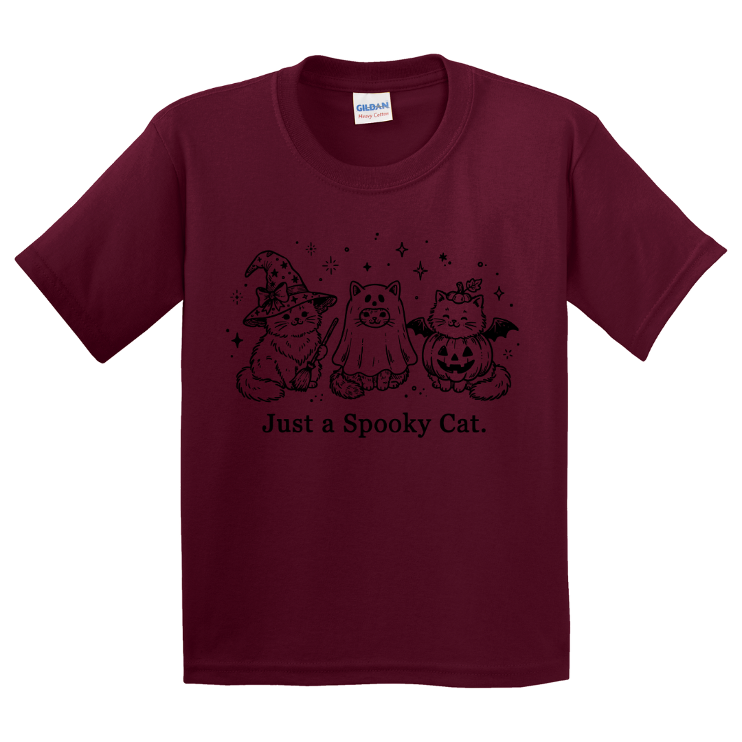 Just A Spooky Cat T-Shirt (youth)