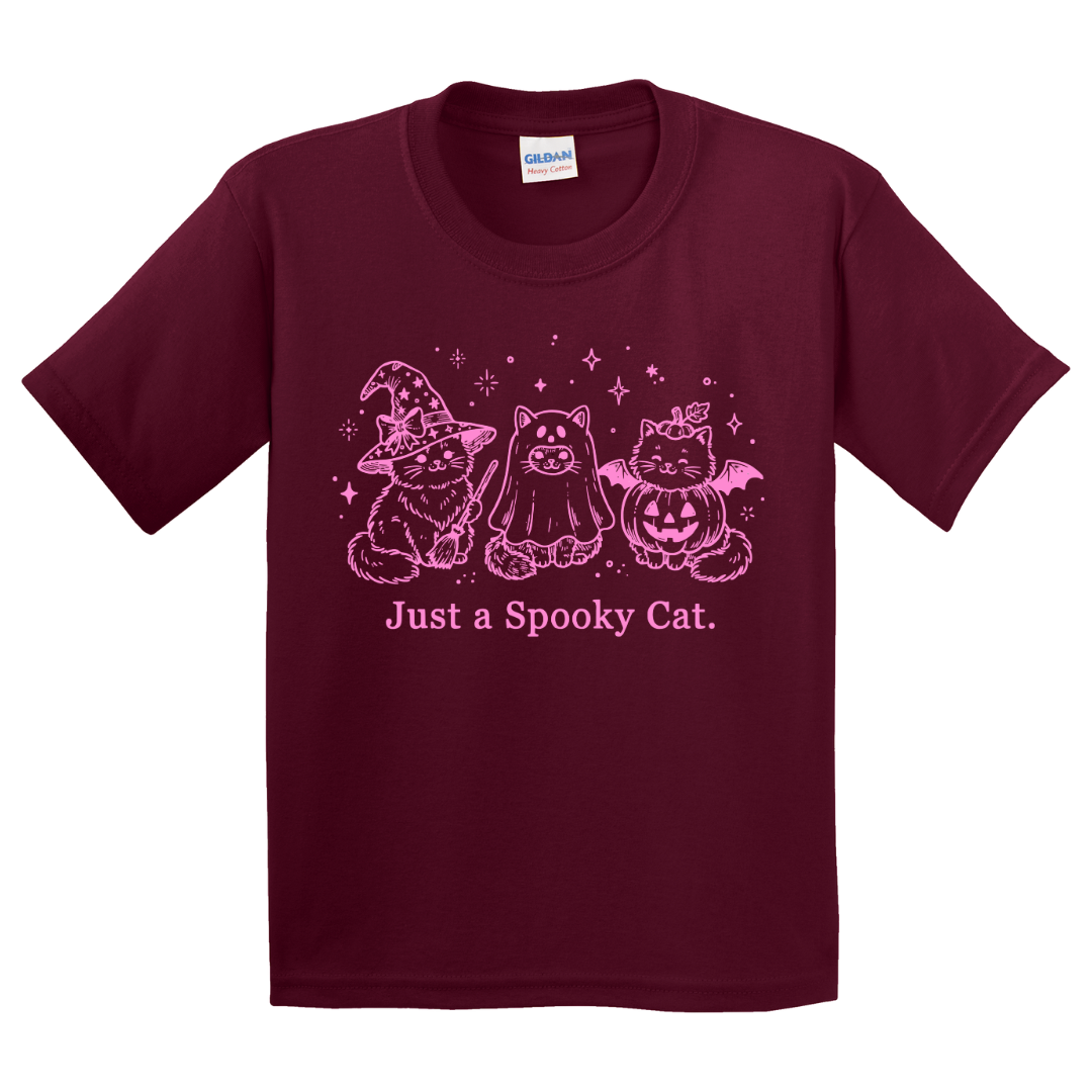 Just A Spooky Cat T-Shirt (youth)