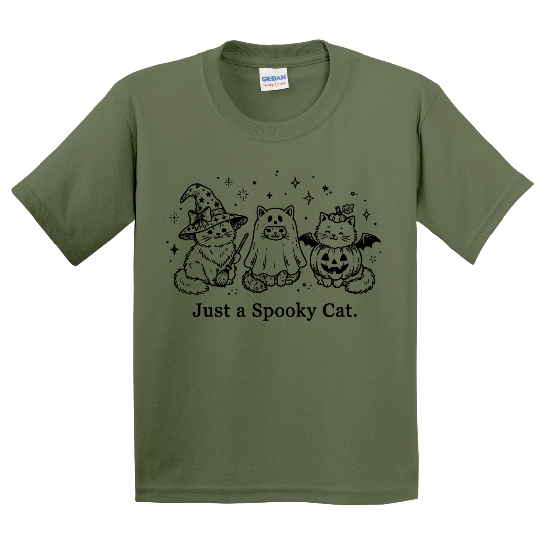 Just A Spooky Cat T-Shirt (youth)