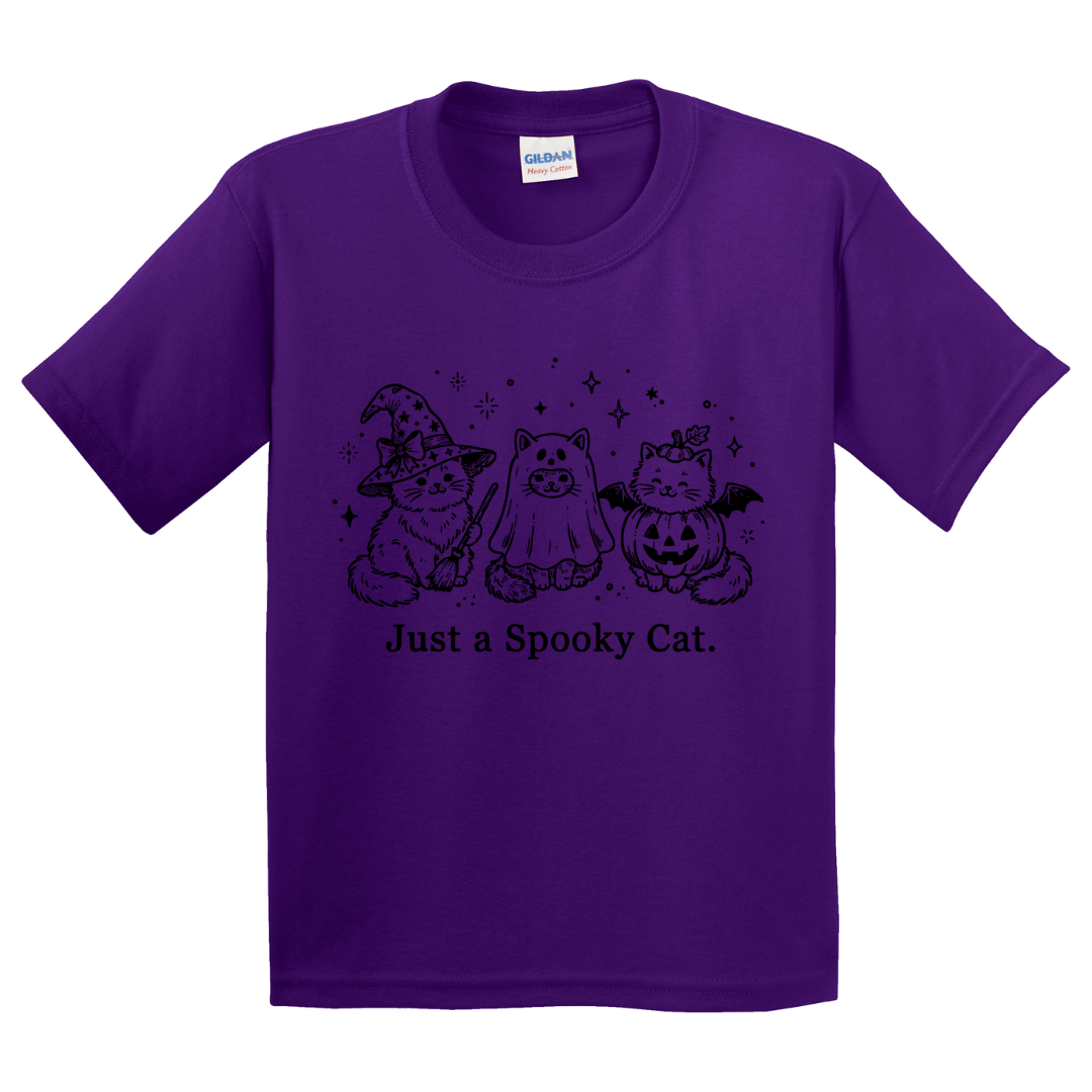 Just A Spooky Cat T-Shirt (youth)