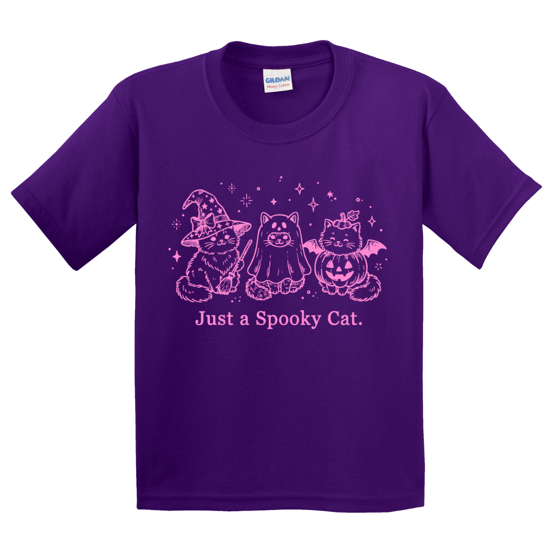 Just A Spooky Cat T-Shirt (youth)
