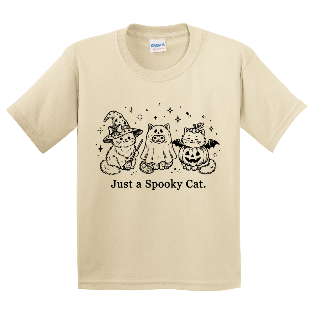 Just A Spooky Cat T-Shirt (youth)