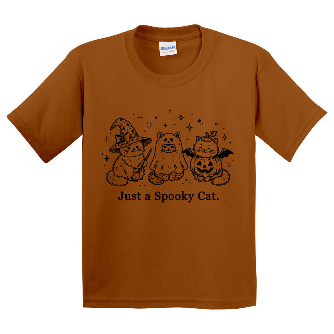 Just A Spooky Cat T-Shirt (youth)