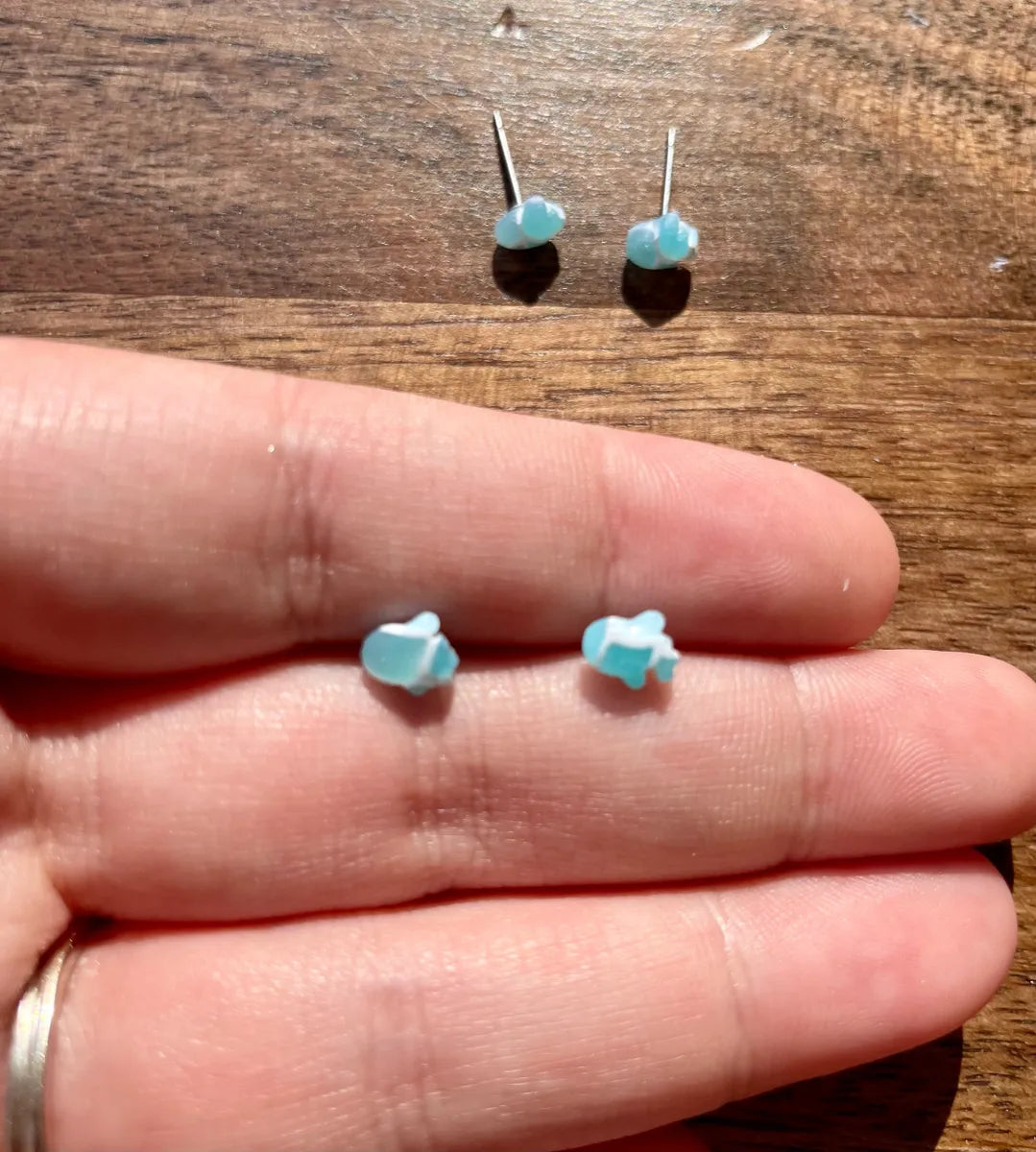 Earring #196