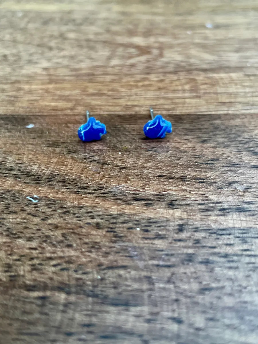 Earring #160