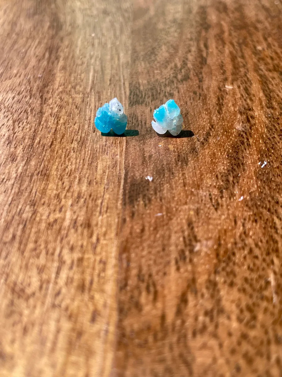 Earring #355